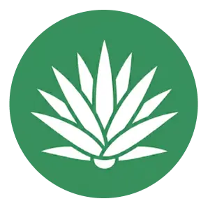 Agave